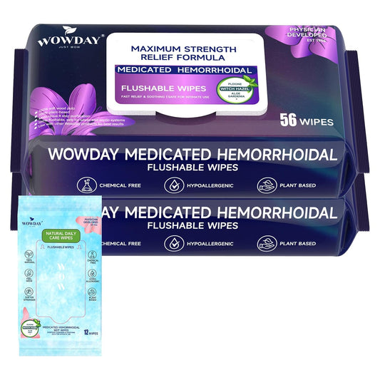 Maximum Strength Hemorrhoid Wipes Flushable Witch Hazel Wipes 124 Count