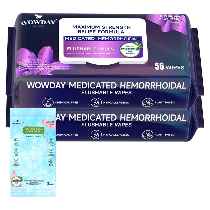 Maximum Strength Hemorrhoid Wipes Flushable Witch Hazel Wipes 124 Count